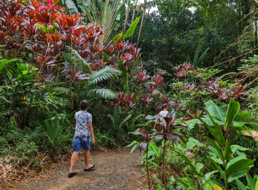 Hana Maui Botanical Gardens, United States
